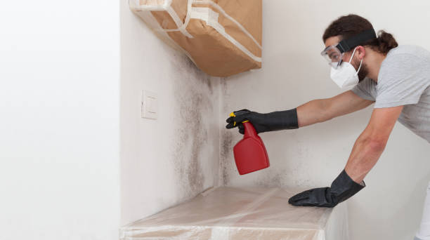 Professional Attic Mold Removal technician working in Wayland, MI