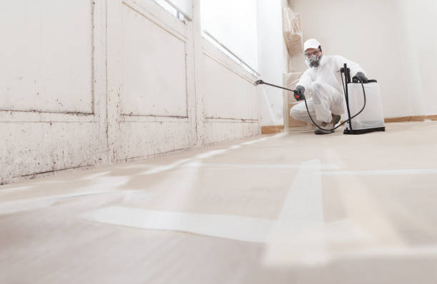 24/7 Emergency Attic Mold Removal experts in Wayland, MI