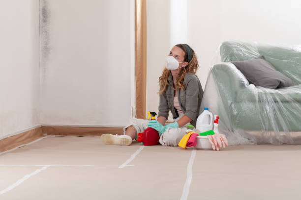 Reliable Attic Mold Removal contractor in Wayland, MI by WQB Mold Removal